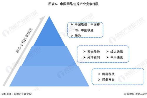 2023-2028年中国网络切片行业发展分析与展望